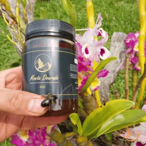 Pote de 500g do Mel de Florada Silvestre da Monte Dourado, com mel de cor âmbar escura, característico da multiflorada.